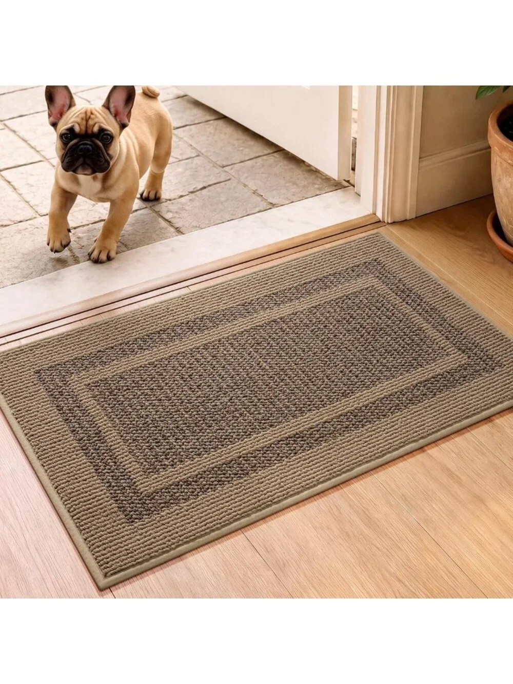 Dirt Trapping Indoor Entry Mat, 17
